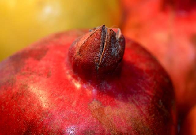 Kaliteli meyve nasıl anlaşılır?