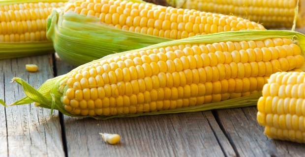 Süt mısırı lezzeti arayanlara: Evde haşlanmış mısır nasıl yapılır?
